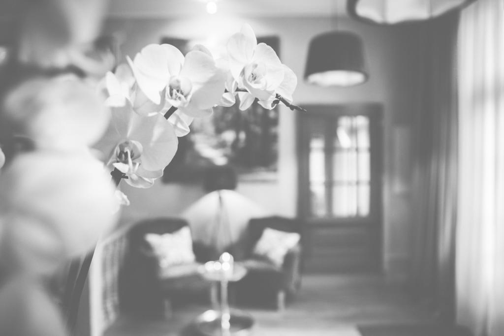 Hotel Bellini Guxhagen Eksteriør bilde
